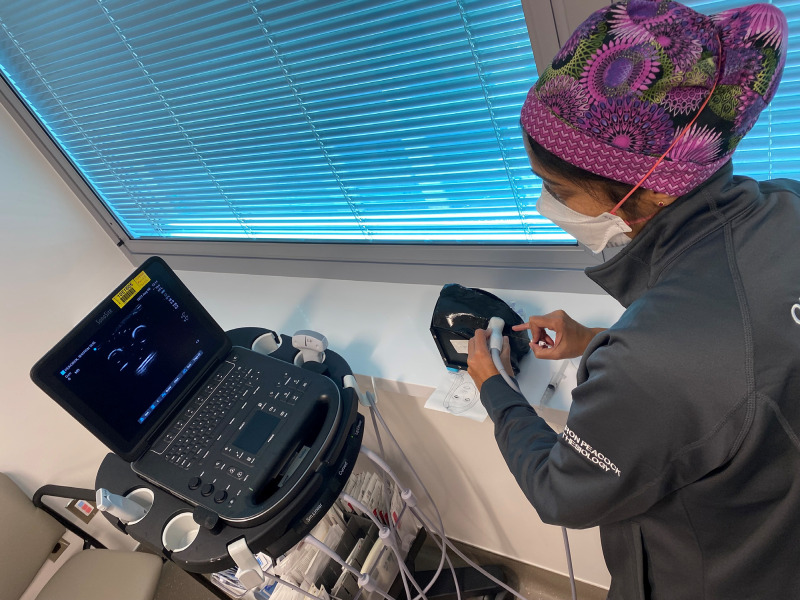 Use of a Novel Three-Dimensional Model to Teach Ultrasound-guided Subclavian Vein Cannulation.