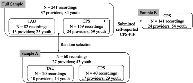 Pragmatic fidelity measurement in youth service settings.