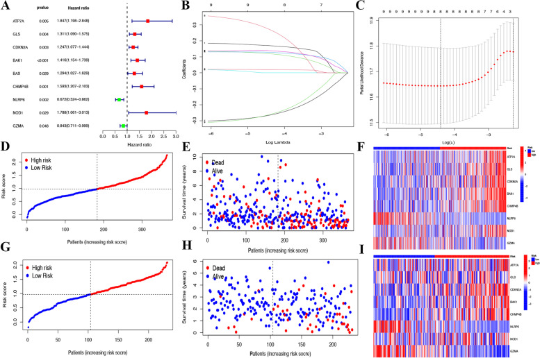 An 8-gene predicting survival model of hepatocellular carcinoma (HCC) related to pyroptosis and cuproptosis.