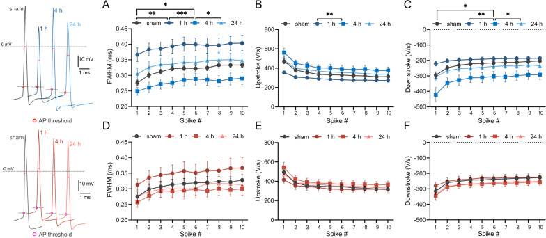 Dynamic alteration of intrinsic properties of the cerebellar Purkinje cell during the motor memory consolidation.