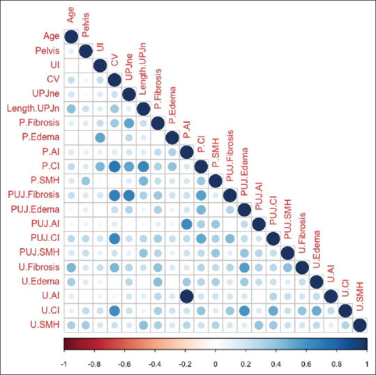 Association between intraoperative anatomical variation and histopathological parameters in cases of ureteropelvic junction obstruction in children: A cross-sectional study.