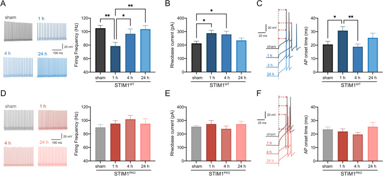 Dynamic alteration of intrinsic properties of the cerebellar Purkinje cell during the motor memory consolidation.