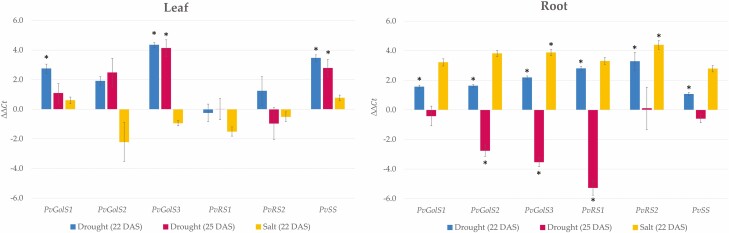 Impact of drought and salt stress on galactinol and raffinose family oligosaccharides in common bean (<i>Phaseolus vulgaris</i>).