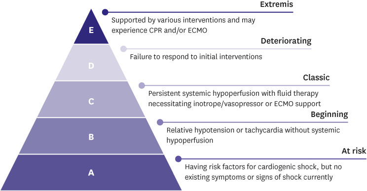 Korean Society of Heart Failure Guidelines for the Management of Heart Failure: Advanced and Acute Heart Failure.