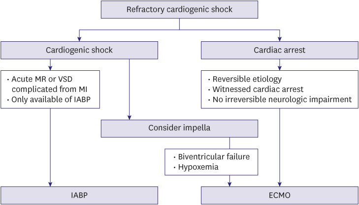 Korean Society of Heart Failure Guidelines for the Management of Heart Failure: Advanced and Acute Heart Failure.