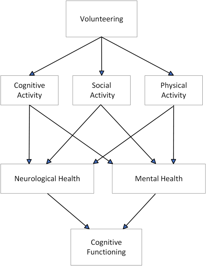 Longitudinal impact of volunteering on the cognitive functioning of older adults: A secondary analysis from the US Health and Retirement Study