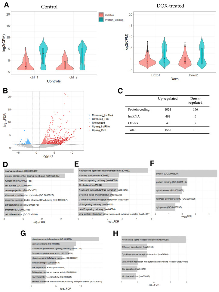 DoxoDB: A Database for the Expression Analysis of Doxorubicin-Induced lncRNA Genes.