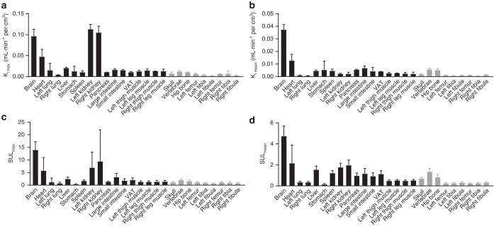 Glucose uptake and distribution across the human skeleton using state-of-the-art total-body PET/CT.