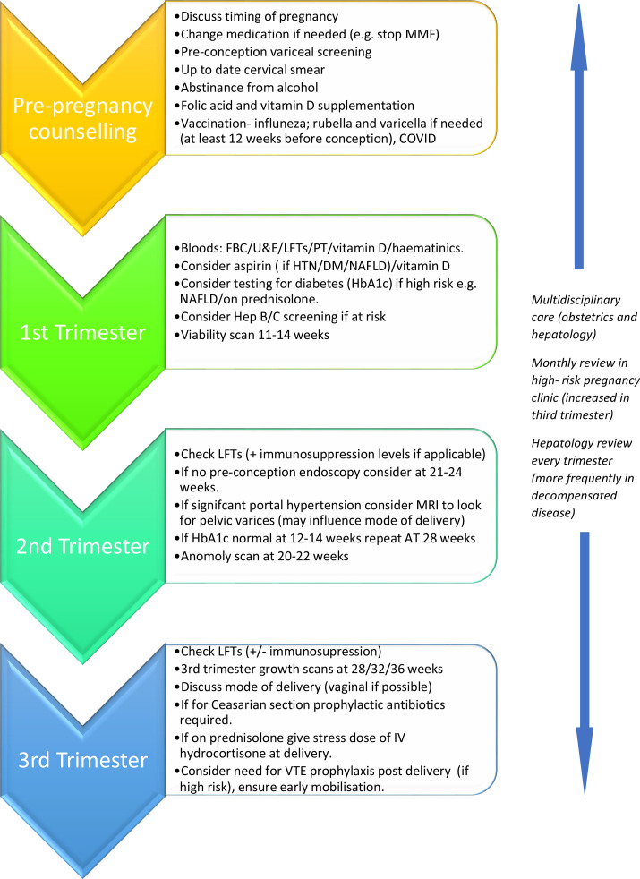 British Society of Gastroenterology Best Practice Guidance: outpatient management of cirrhosis - part 3: special circumstances.