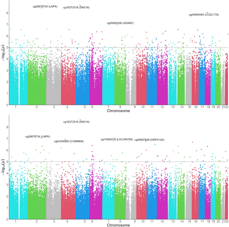 DNA methylation is differentially associated with glycemic outcomes by different types of weight-loss interventions: an epigenome-wide association study.