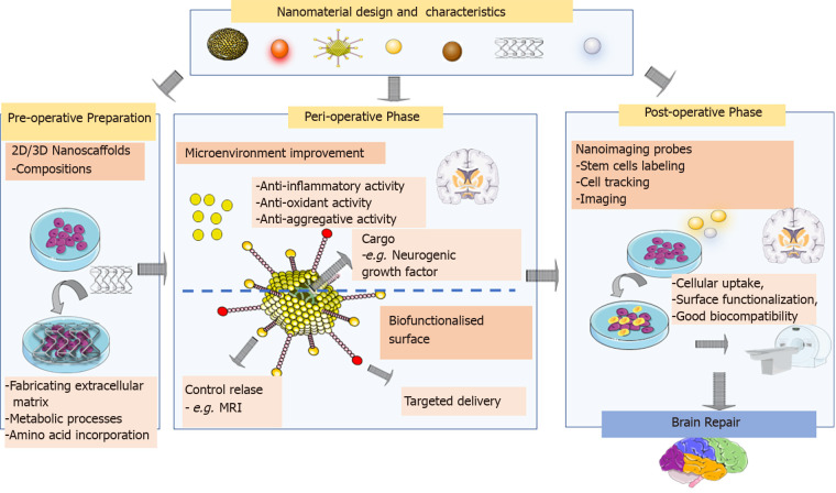 Neural stem cells for Parkinson's disease management: Challenges, nanobased support, and prospects.