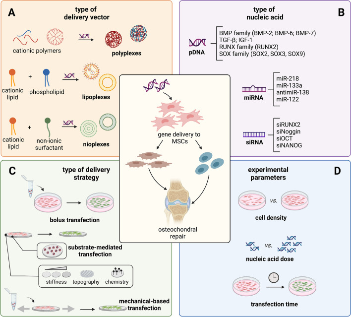 Non-viral gene delivery to human mesenchymal stem cells: a practical guide towards cell engineering.