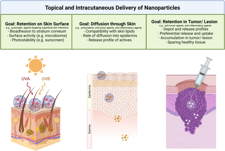 Nanoparticles as a Therapeutic Delivery System for Skin Cancer Prevention and Treatment