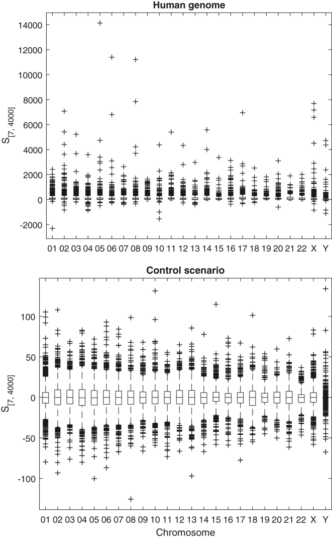 Concentration of inverted repeats along human DNA.