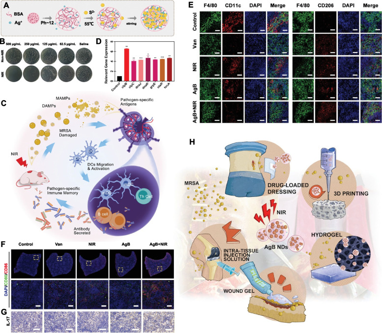 Nanotherapeutics with immunoregulatory functions for the treatment of bacterial infection.