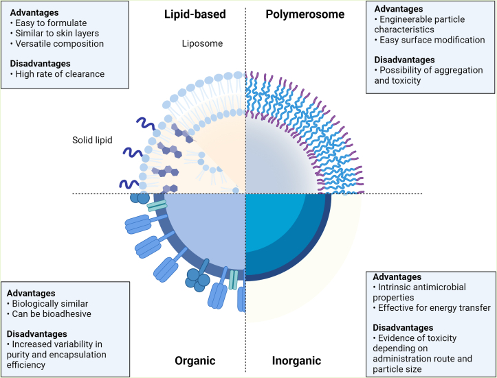 Nanoparticles as a Therapeutic Delivery System for Skin Cancer Prevention and Treatment