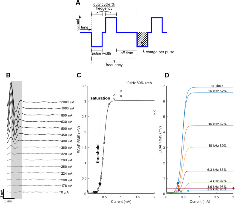 Stimulation parameters for directional vagus nerve stimulation.