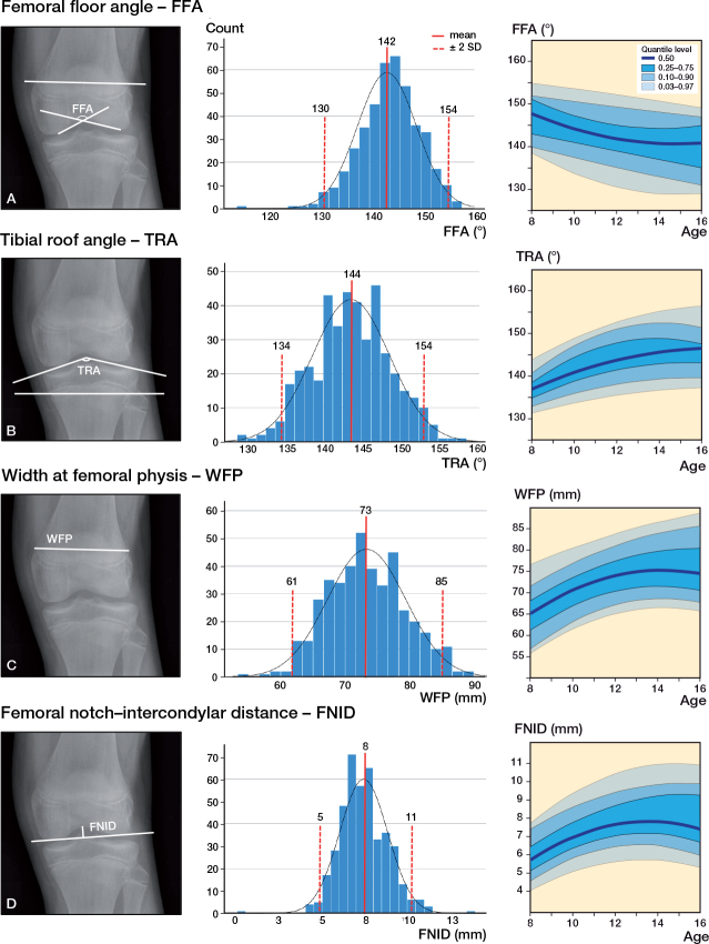 Radiographic reference values of the central knee anatomy in 8-16-year-old children.