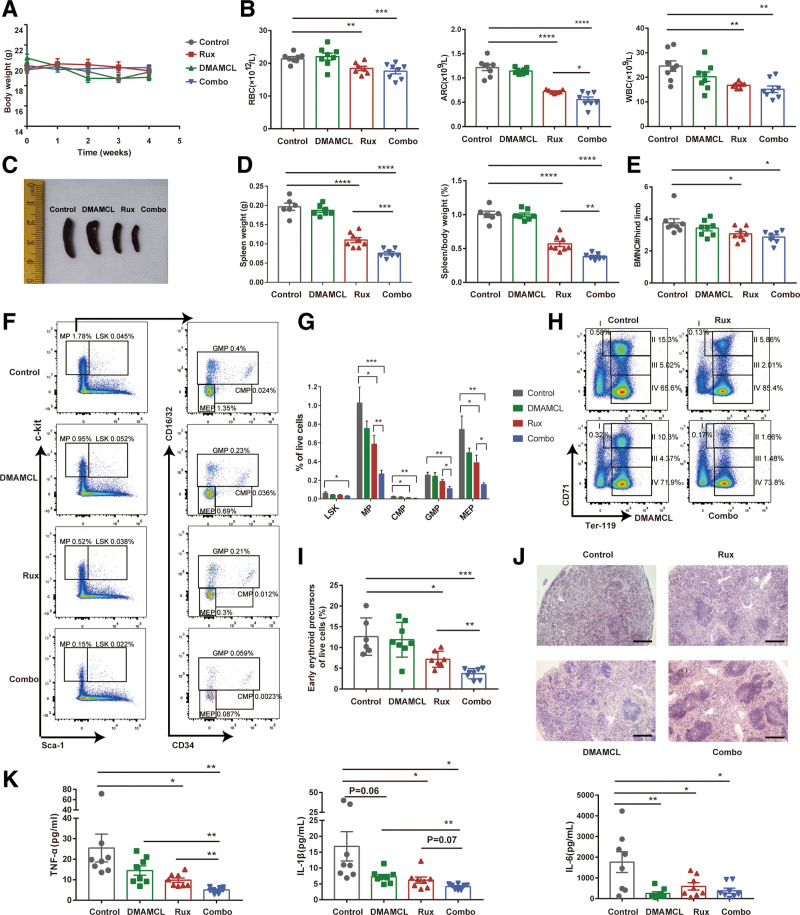 Micheliolide exerts effects in myeloproliferative neoplasms through inhibiting STAT3/5 phosphorylation via covalent binding to STAT3/5 proteins.