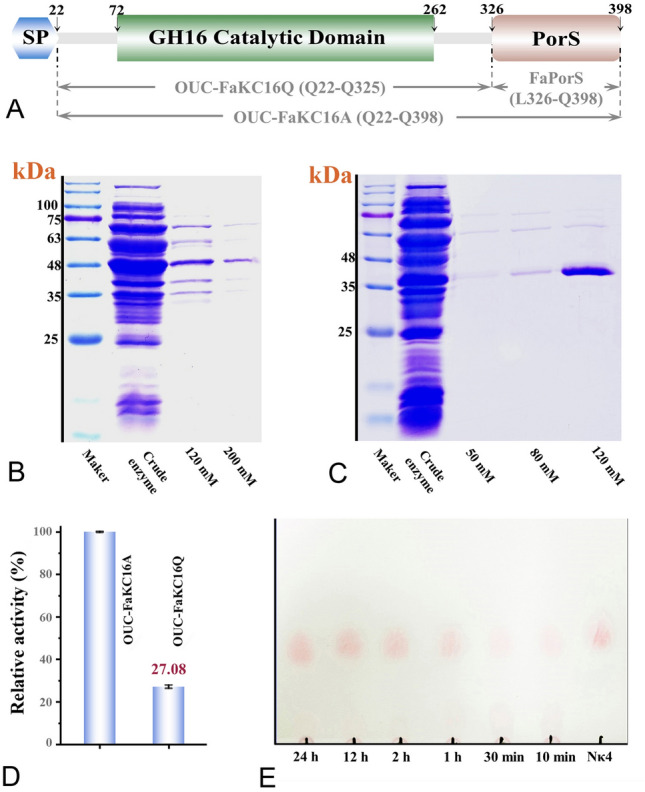 Expanding the application range of the <i>κ</i>‑carrageenase OUC-FaKC16A when preparing oligosaccharides from <i>κ</i>-carrageenan and furcellaran.