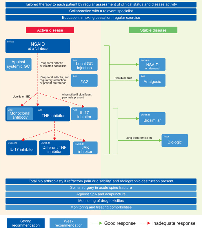 Korean treatment recommendations for patients with axial spondyloarthritis.