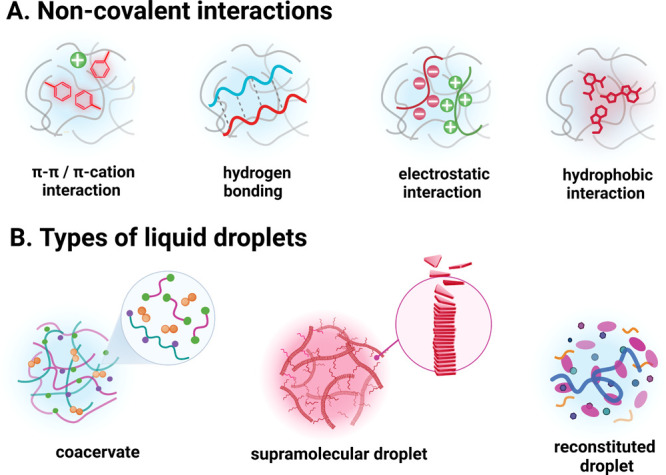 Liquid Droplets as Emerging Biomaterials