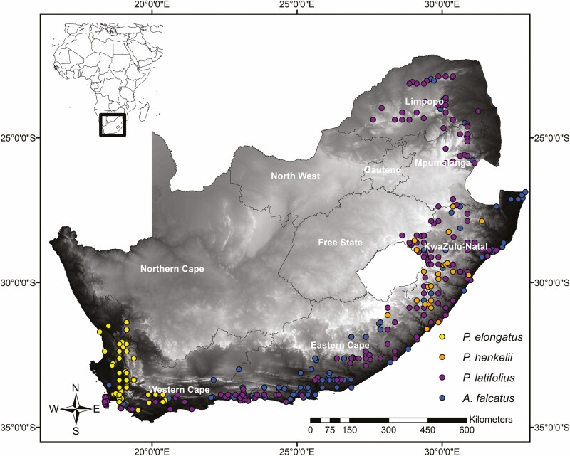 Projecting Podocarpaceae response to climate change: we are not out of the woods yet.