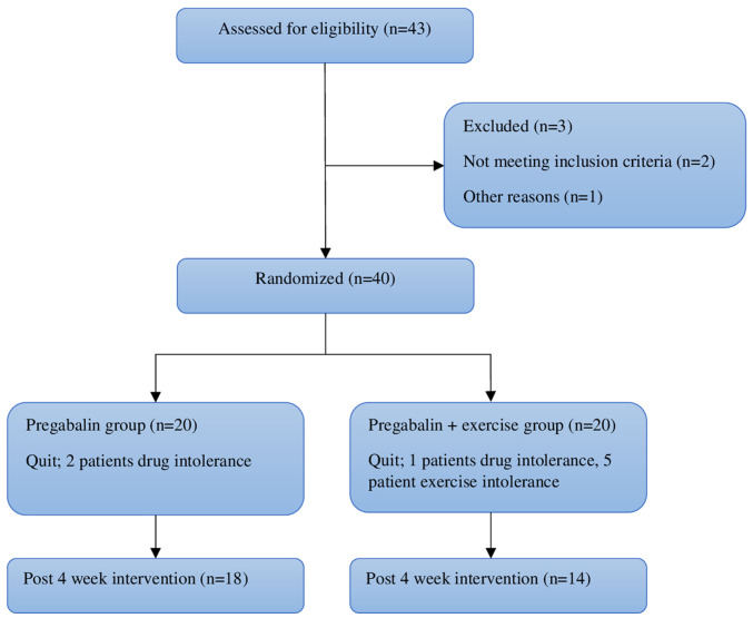 Short‑term effects of pregabalin plus exercise therapy on pain, emotional status, physical function and nociceptive responses in patients with fibromyalgia.