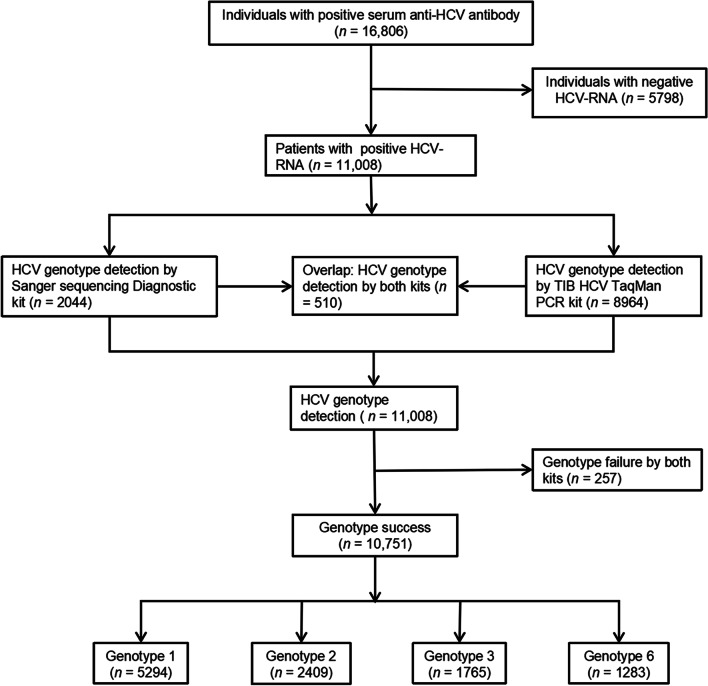 Molecular epidemiology of hepatitis C virus genotypes in different geographical regions of Chinese mainland and a phylogenetic analysis.