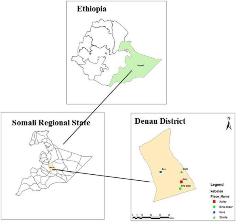 Sero-prevalence of visceral leishmaniasis and its associated factors among asymptomatic individuals visiting Denan health center, southeastern Ethiopia.