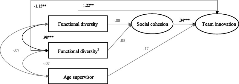 Functional diversity and team innovation: A study on the mediating role of social cohesion in primary care teams.