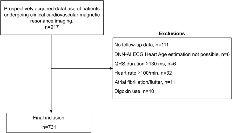 Heart age gap estimated by explainable advanced electrocardiography is associated with cardiovascular risk factors and survival.