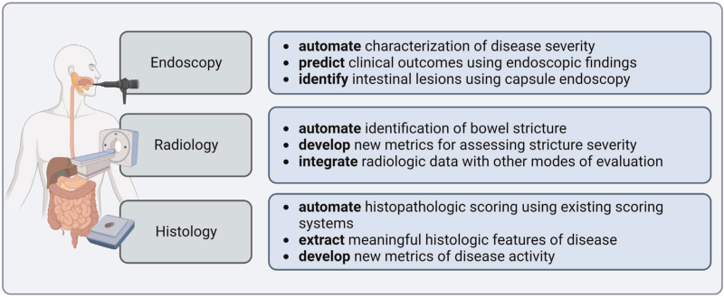 Machine and deep learning in inflammatory bowel disease.