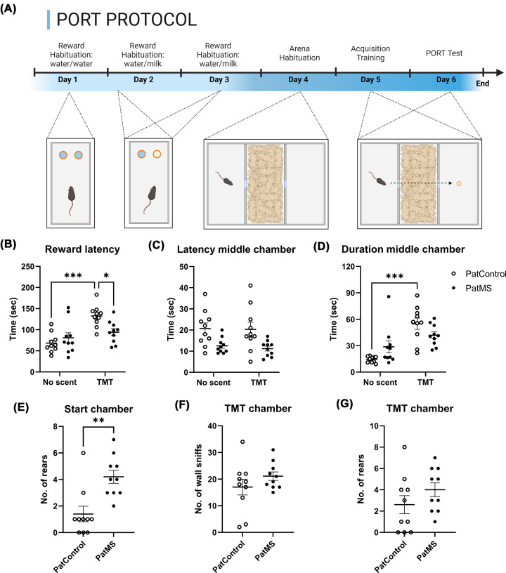 Paternal early life stress exerts intergenerational effects on male C57Bl/6J offspring risk-taking behaviors and predator scent-induced c-Fos expression.