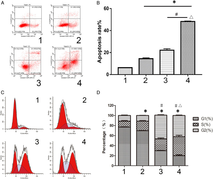 Scutellarin Inhibits Glioblastoma Growth in a Dose-dependent Manner by Suppressing the p63 Signaling Pathway.