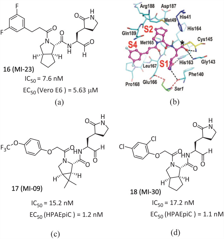 M<sup>pro</sup>-targeted anti-SARS-CoV-2 inhibitor-based drugs.