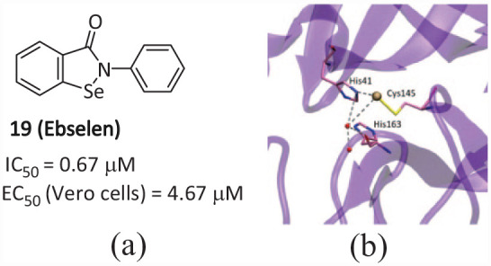 M<sup>pro</sup>-targeted anti-SARS-CoV-2 inhibitor-based drugs.