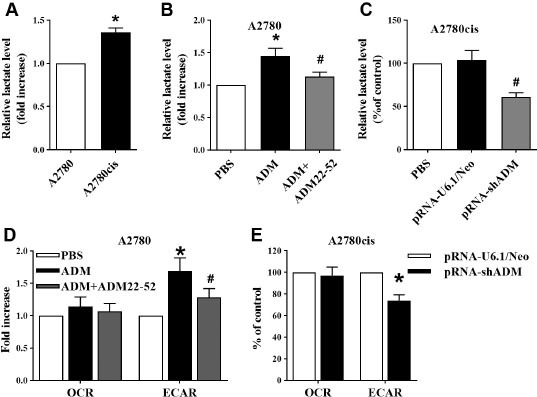 Adrenomedullin induces cisplatin chemoresistance in ovarian cancer through reprogramming of glucose metabolism.