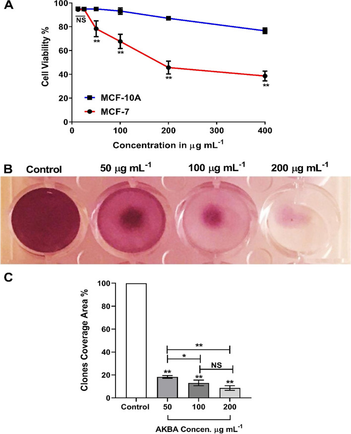 Antiproliferative and cell cycle arrest potentials of 3-O-acetyl-11-keto-β-boswellic acid against MCF-7 cells in vitro.