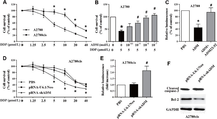 Adrenomedullin induces cisplatin chemoresistance in ovarian cancer through reprogramming of glucose metabolism.