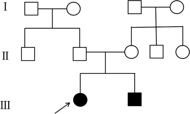 Clinical characterization of familial 1p36.3 microduplication.