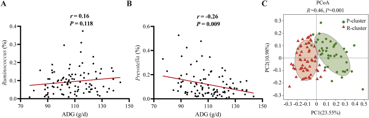 Rumen bacterial cluster identification and its influence on rumen metabolites and growth performance of young goats