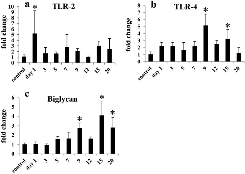 Analyses of damage-associated molecular patterns, particularly biglycan, in cisplatin-induced rat progressive renal fibrosis.