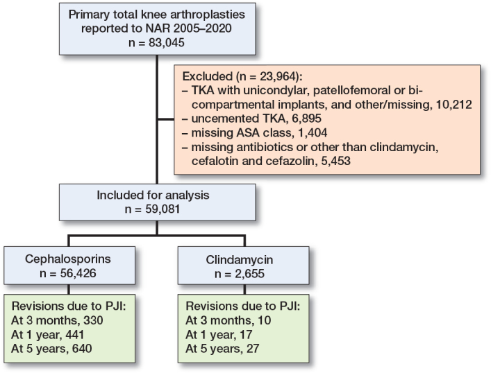 No difference in risk of revision due to infection between clindamycin and cephalosporins as antibiotic prophylaxis in cemented primary total knee replacements: a report from the Norwegian Arthroplasty Register 2005-2020.