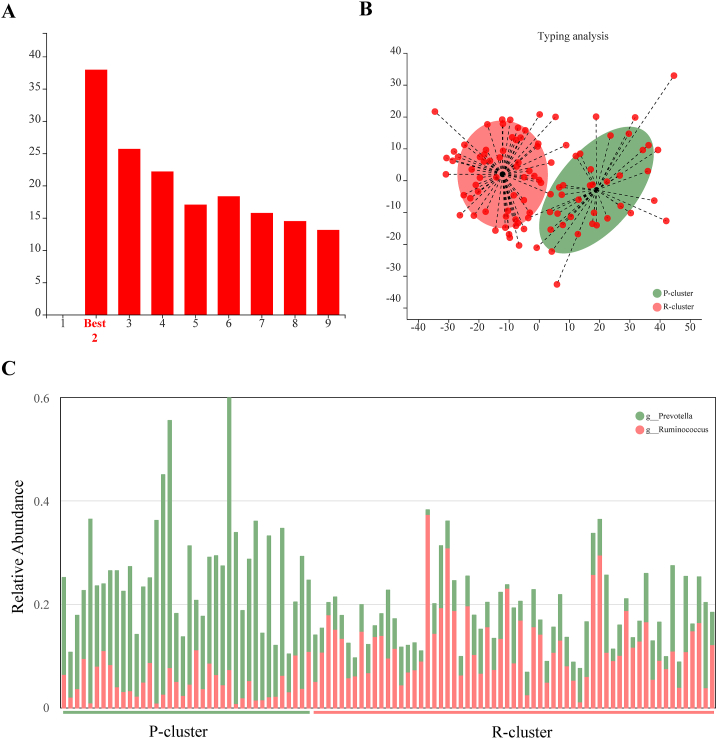 Rumen bacterial cluster identification and its influence on rumen metabolites and growth performance of young goats