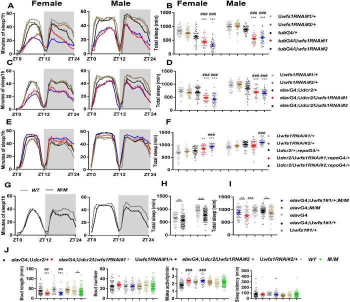 Wolfram syndrome 1 regulates sleep in dopamine receptor neurons by modulating calcium homeostasis.