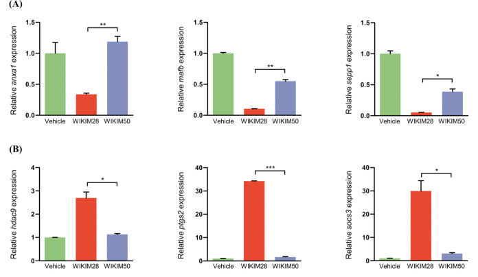 Monitoring mRNA Expression Patterns in Macrophages in Response to Two Different Strains of Probiotics.