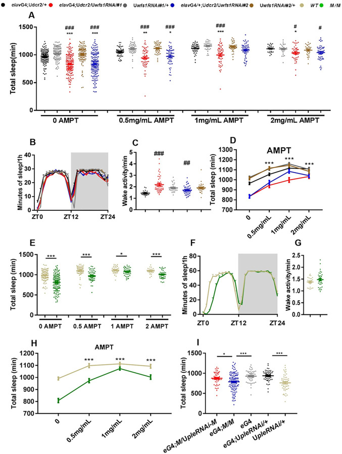 Wolfram syndrome 1 regulates sleep in dopamine receptor neurons by modulating calcium homeostasis.