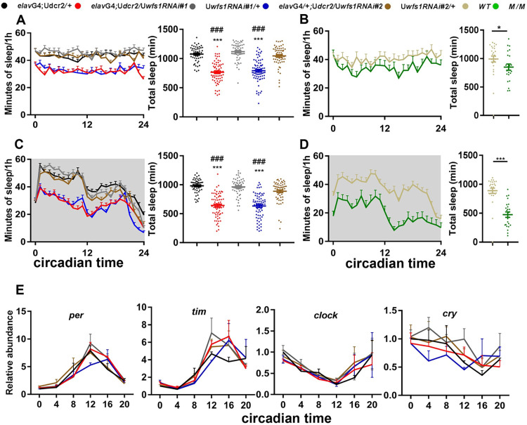 Wolfram syndrome 1 regulates sleep in dopamine receptor neurons by modulating calcium homeostasis.