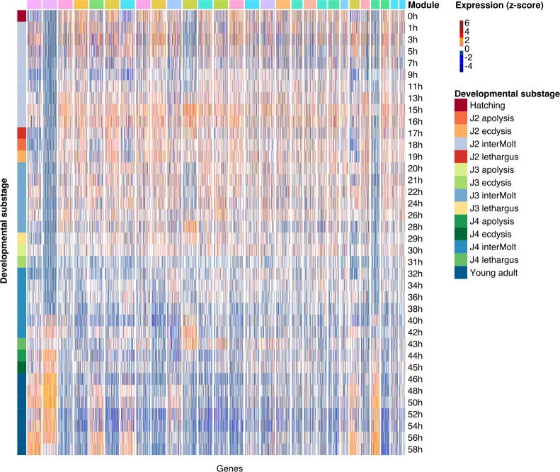 Thousands of Pristionchus pacificus orphan genes were integrated into developmental networks that respond to diverse environmental microbiota.